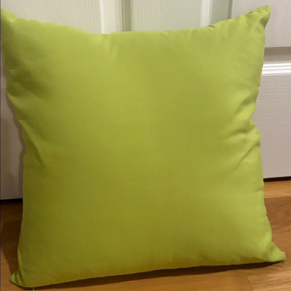 Throw Pillow 15